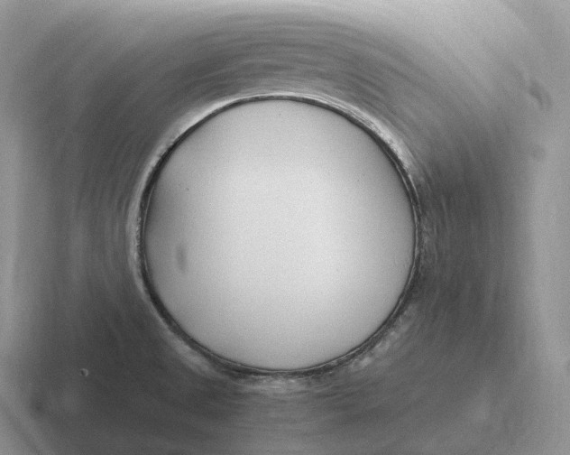 X0000116681525201001041139