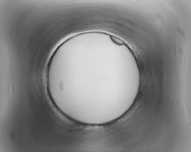 X0000116681526201001041139