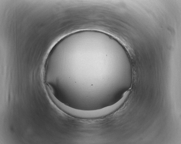 X0000116681527201001041139