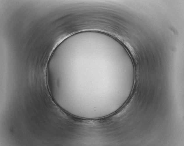 X0000116681529201001041139