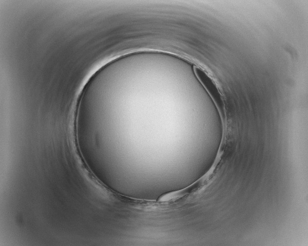 X0000116681530201001041139