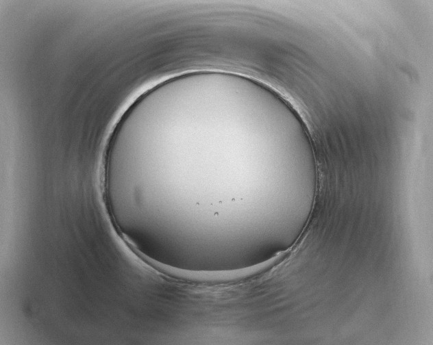 X0000116681531201001041139