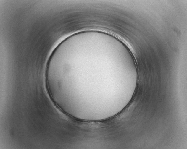 X0000116681533201001041139