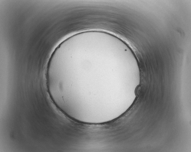 X0000116681534201001041139