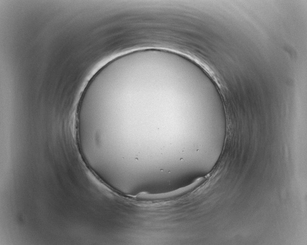 X0000116681535201001041139