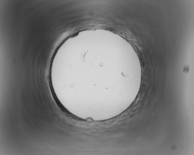 X0000116680003201001111341