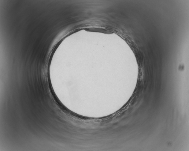 X0000116680004201001111341