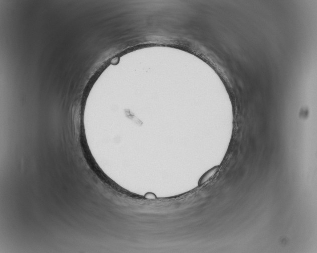 X0000116680011201001111341