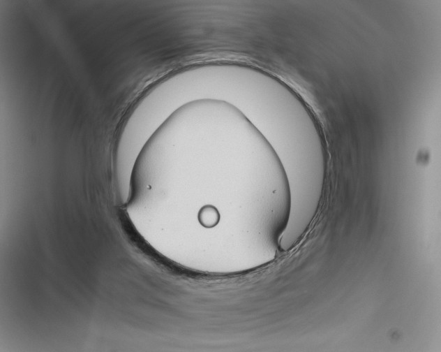 X0000116680013201001111341