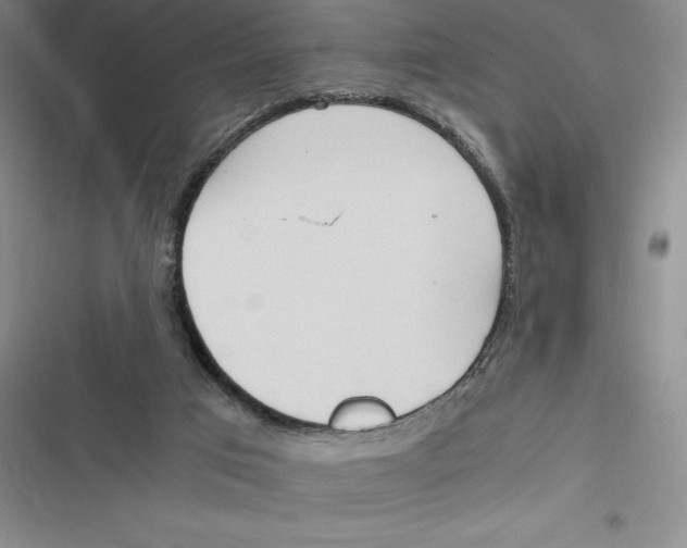 X0000116680017201001111341