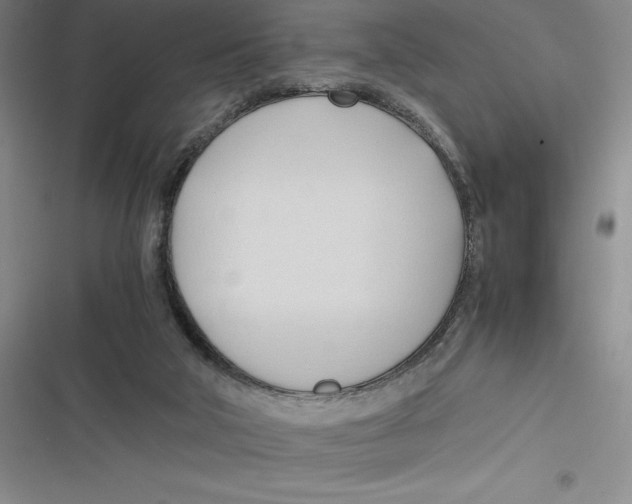 X0000116680018201001111341