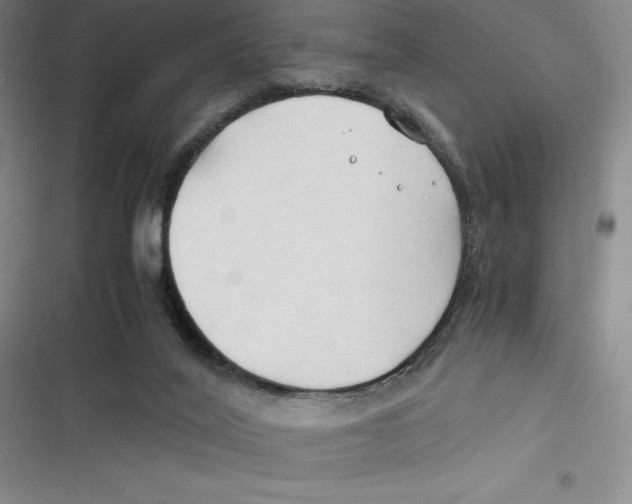 X0000116680020201001111341