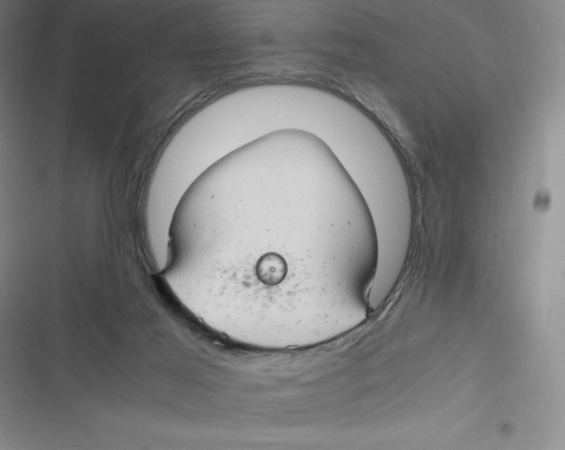 X0000116680021201001111341