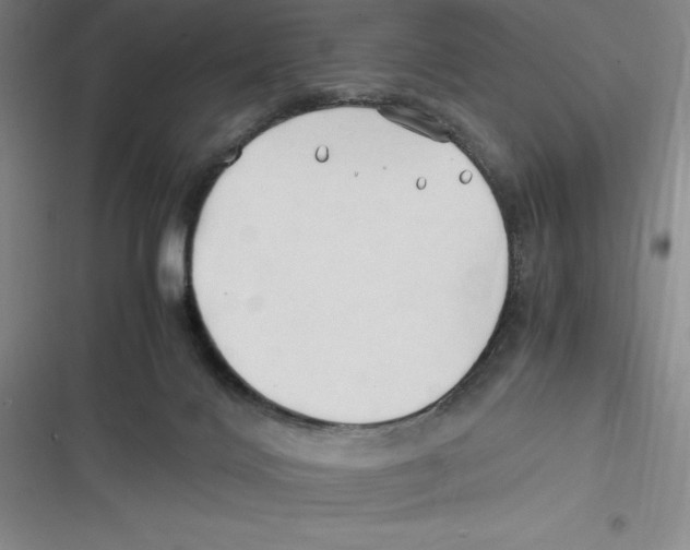 X0000116680028201001111341