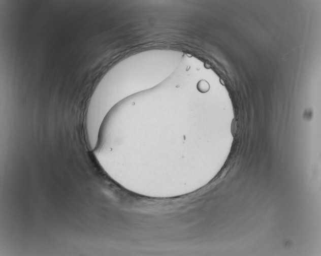 X0000116680029201001111341