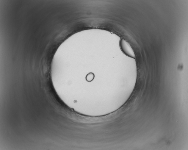 X0000116680031201001111341