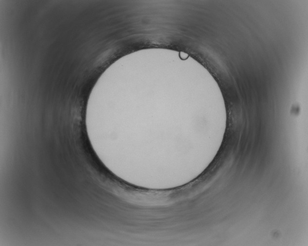 X0000116680032201001111341