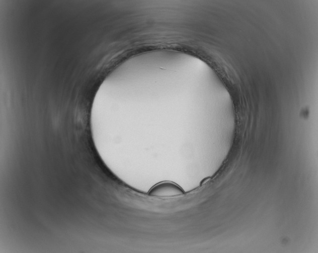 X0000116680035201001111341