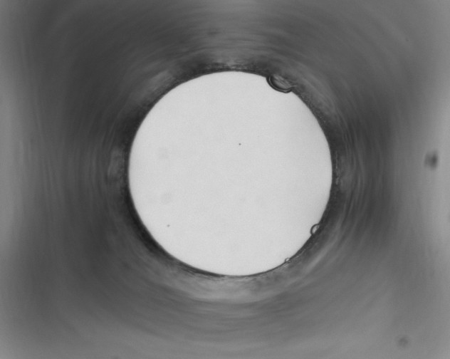 X0000116680036201001111341