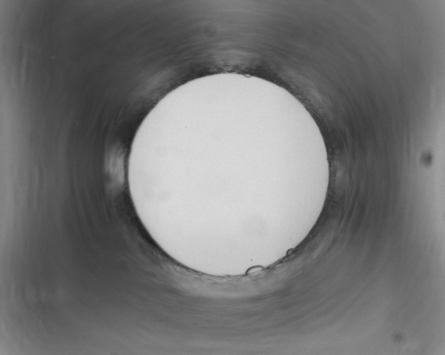 X0000116680042201001111341