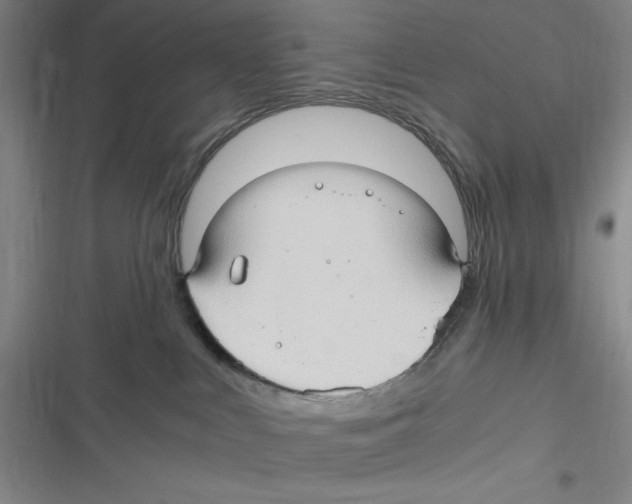 X0000116680043201001111341