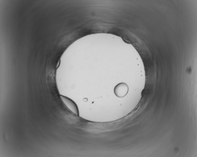 X0000116680045201001111341