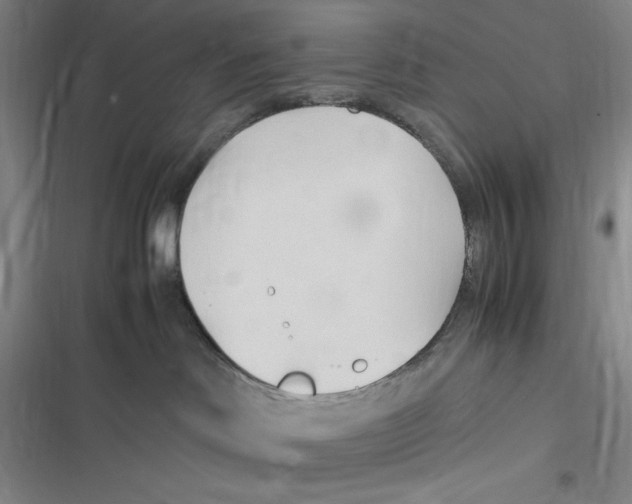 X0000116680046201001111341