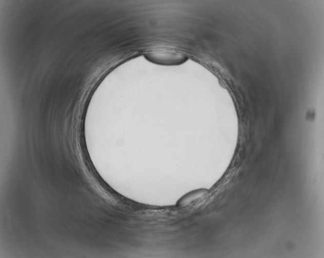 X0000116680049201001111340