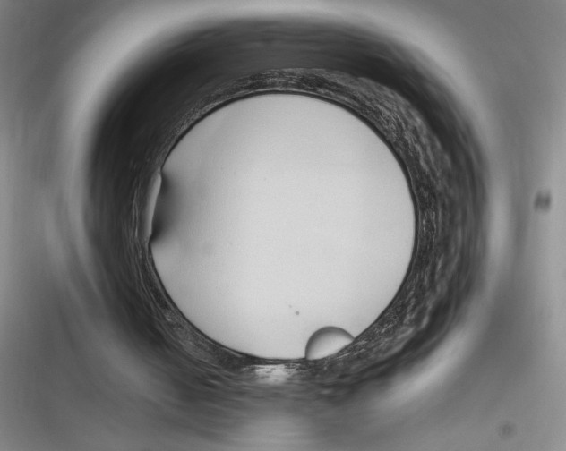 X0000116680050201001111340