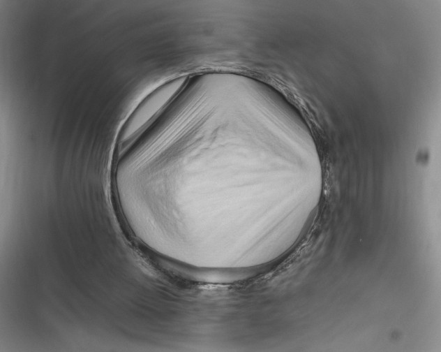 X0000116680052201001111340