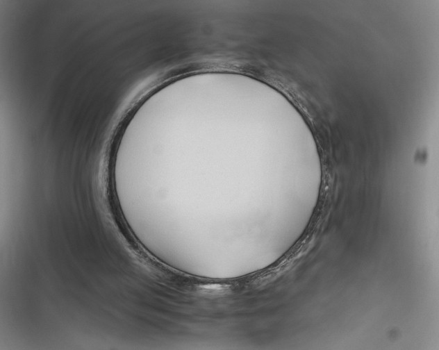 X0000116680053201001111340