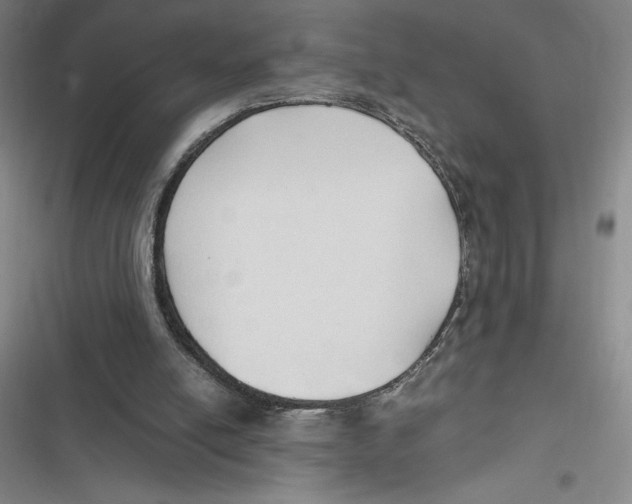 X0000116680054201001111340