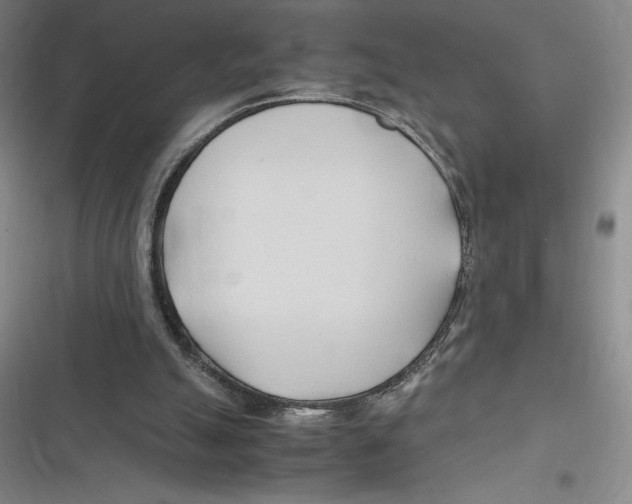 X0000116680055201001111340