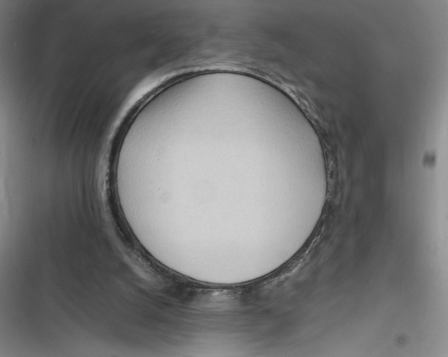 X0000116680056201001111340