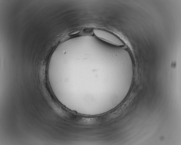 X0000116680057201001111340