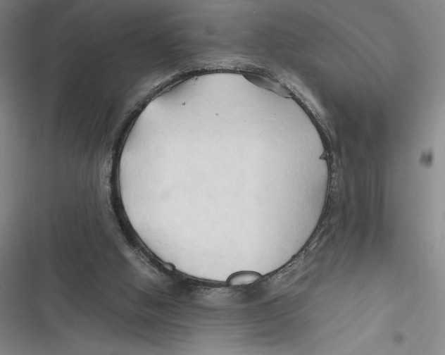 X0000116680058201001111340