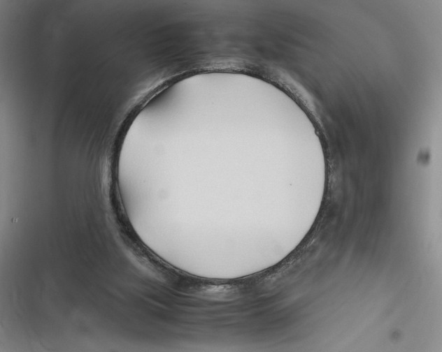 X0000116680059201001111340