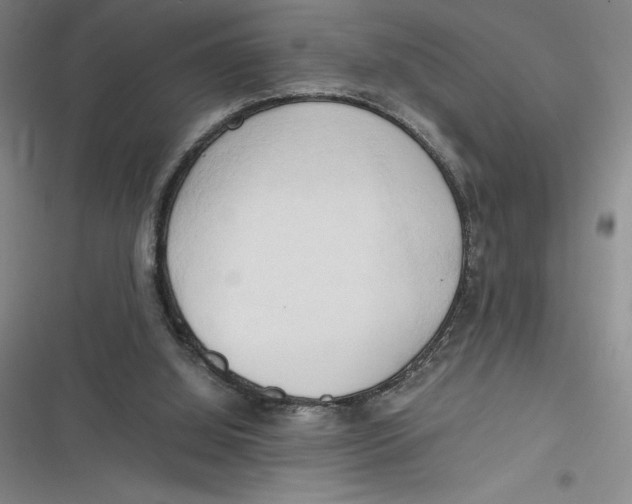 X0000116680060201001111340