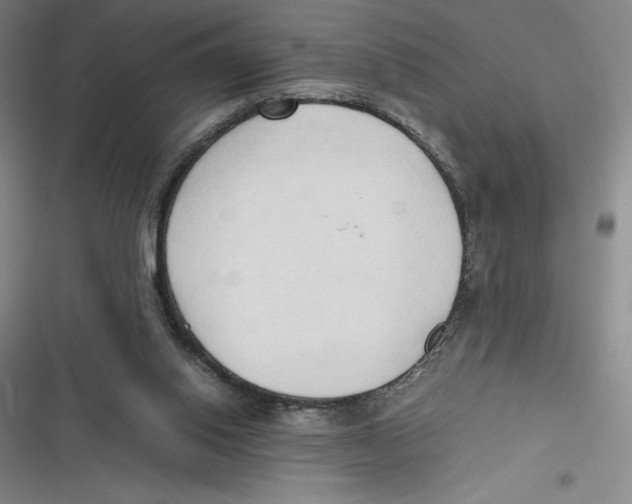 X0000116680062201001111340