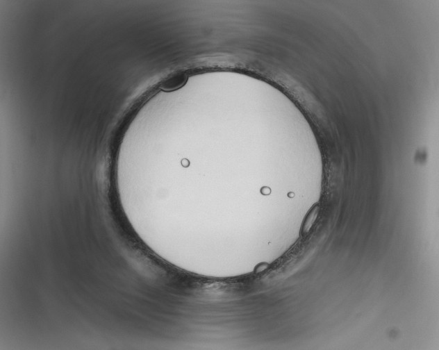 X0000116680064201001111340