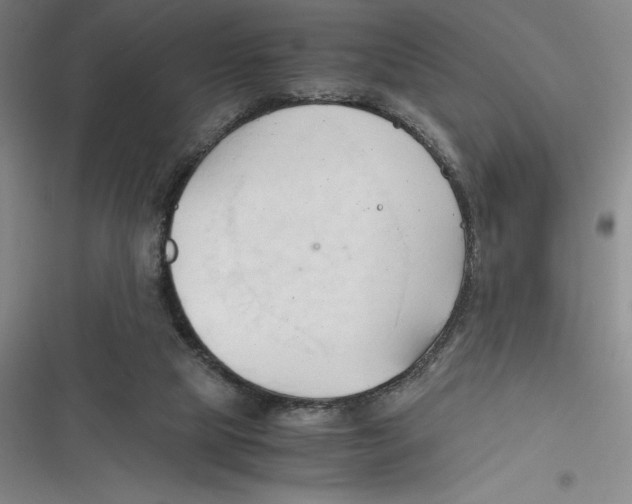 X0000116680065201001111340