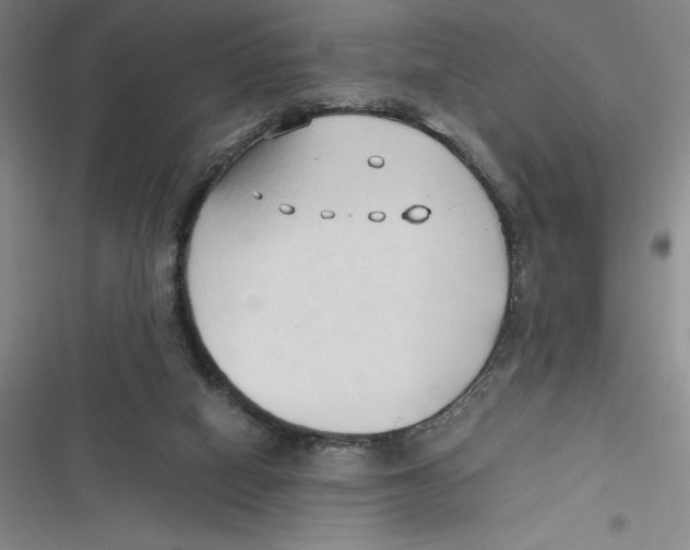 X0000116680066201001111340