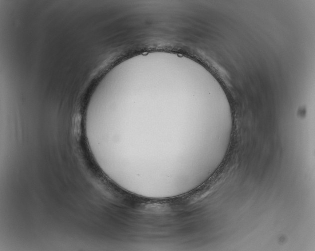 X0000116680067201001111340