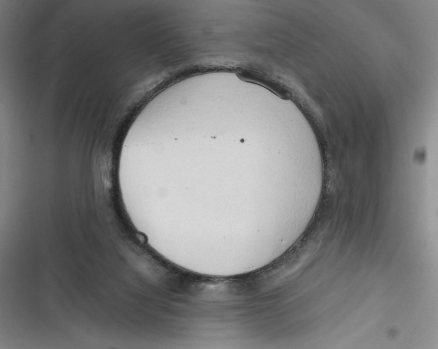 X0000116680068201001111340