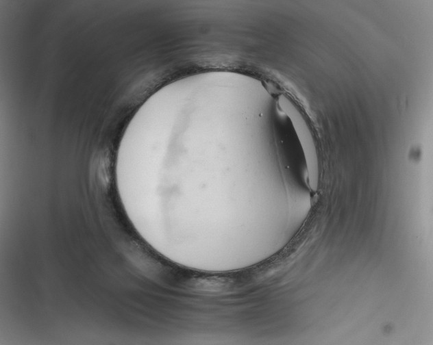 X0000116680069201001111340