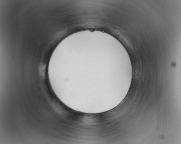 X0000116680070201001111340