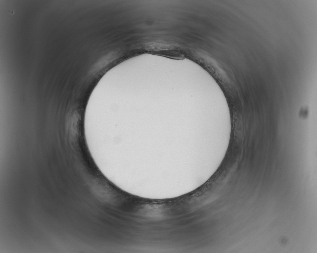 X0000116680071201001111340