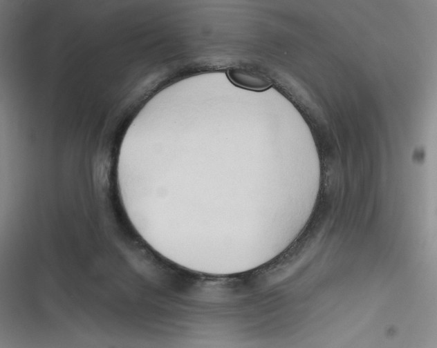 X0000116680072201001111340