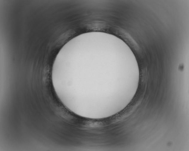 X0000116680073201001111340