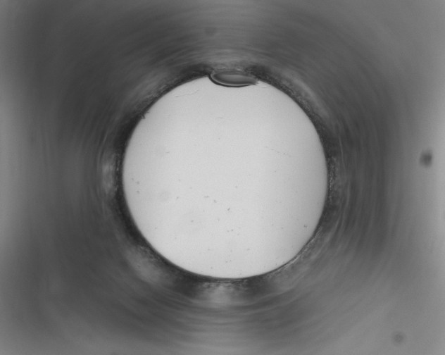 X0000116680074201001111340